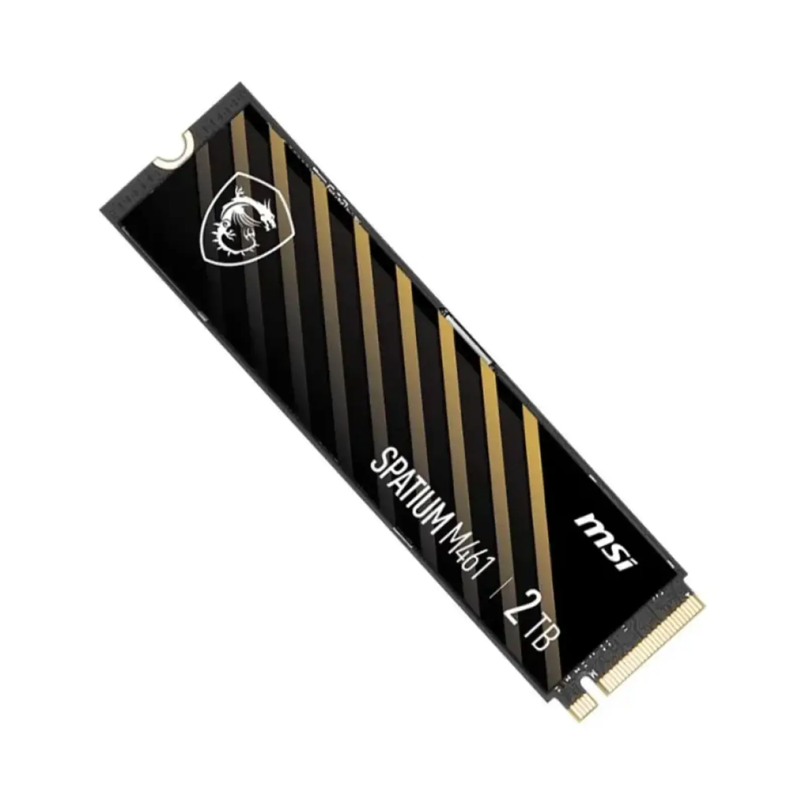 اس اس دی اینترنال ام اس آی SPATIUM M461 2TB NVMe