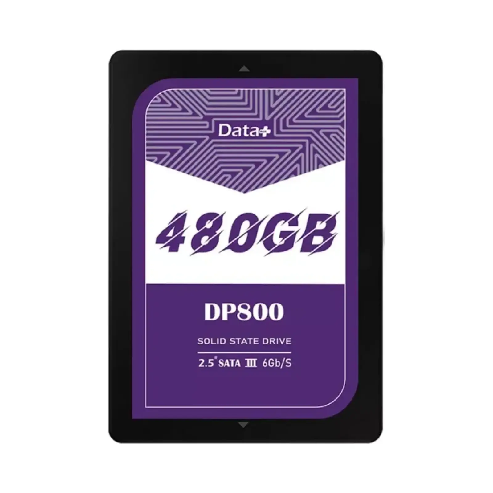 اس اس دی اینترنال دیتاپلاس DP800 480GB SATA