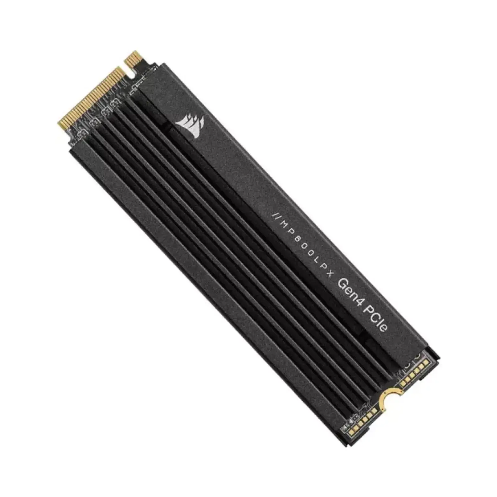 اس اس دی اینترنال کورسیر MP600 PRO LPX 1TB NVMe